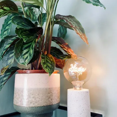 아파트 New ! Superbe Studio Vieux - Climatise *