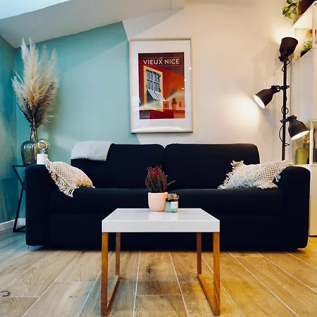 New ! Superbe Studio Vieux - Climatise Apartment Nice
